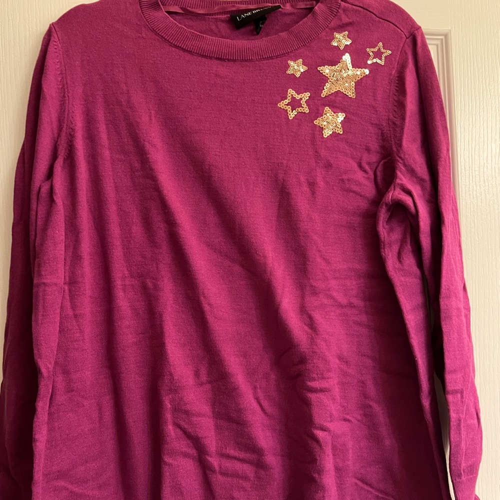 Lane Bryant sequin sweater - 14/16